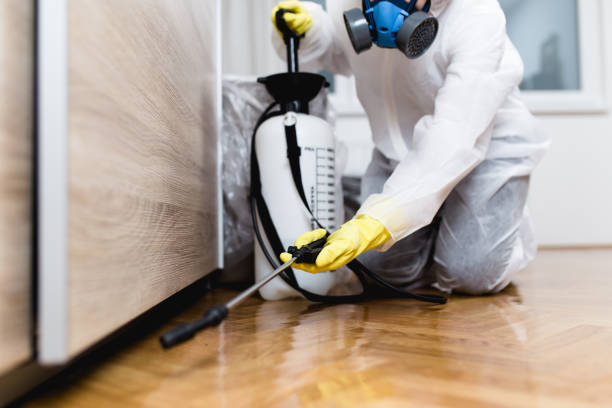 Best Termite Control Services  in Polk City, FL