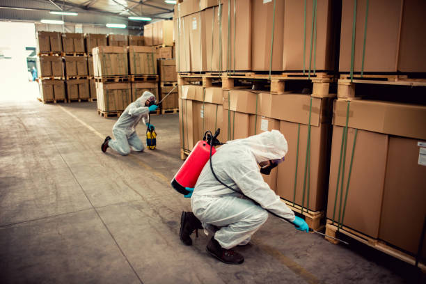 Best Best Pest Control Companies  in Polk City, FL