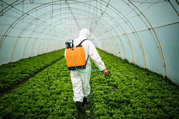 Reliable Polk City, FL Pest Control Solutions