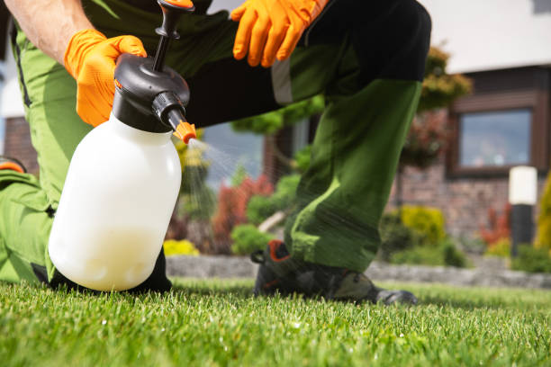Best Bird Control  in Polk City, FL