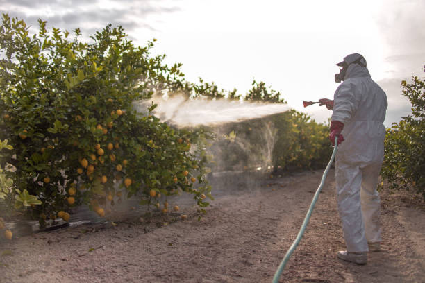Best Pest Inspection Near Me  in Polk City, FL