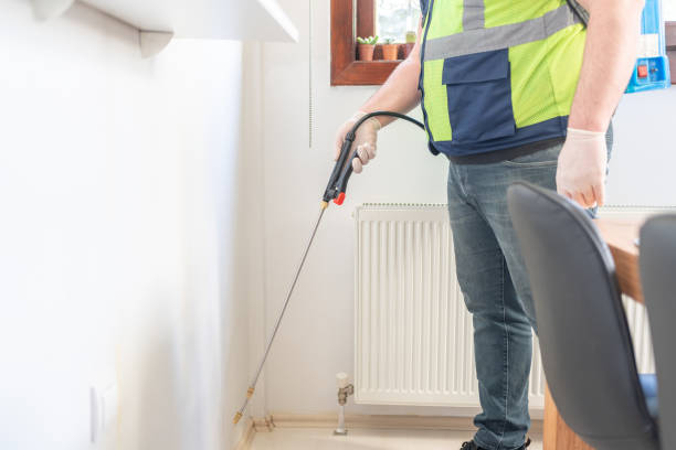 Best Best Pest Control Companies  in Polk City, FL