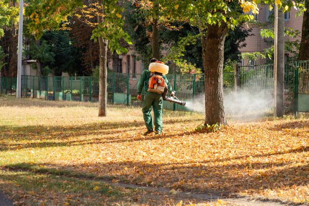 Wildlife Control Services in Polk City, FL