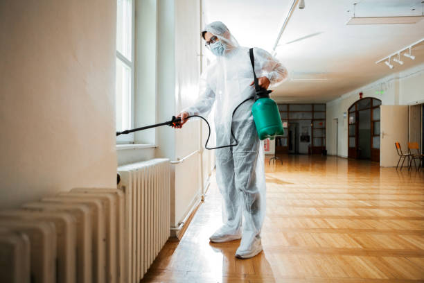 Wasp Removal Services in Polk City, FL