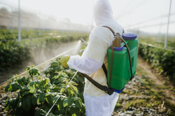 Best Local Pest Control Services  in Polk City, FL
